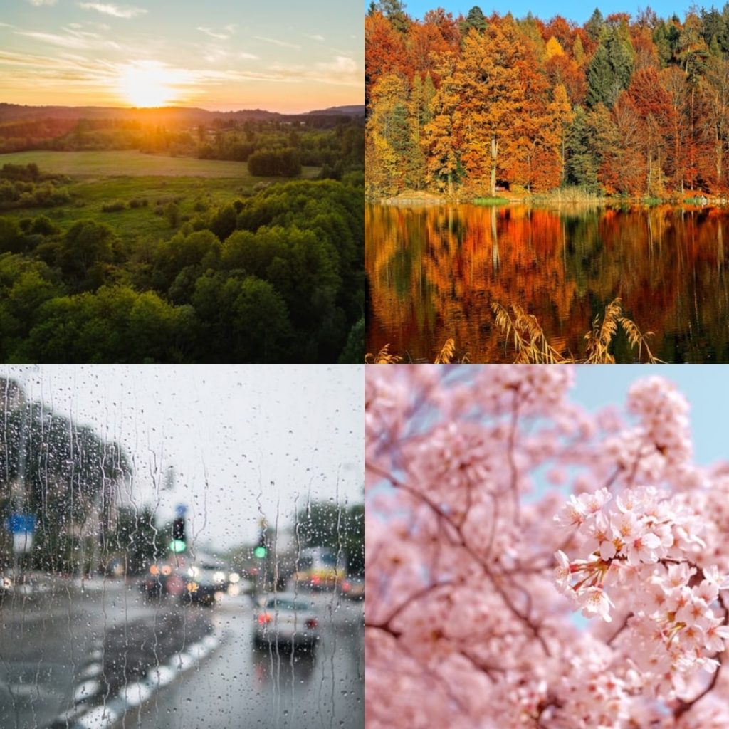 All Four Seasons